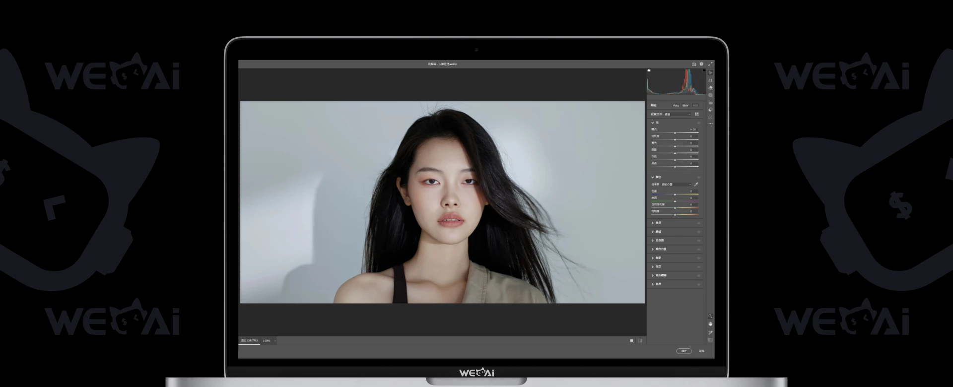 专业的照片处理软件 Adobe Camera Raw v18.0.0 多语言中文版